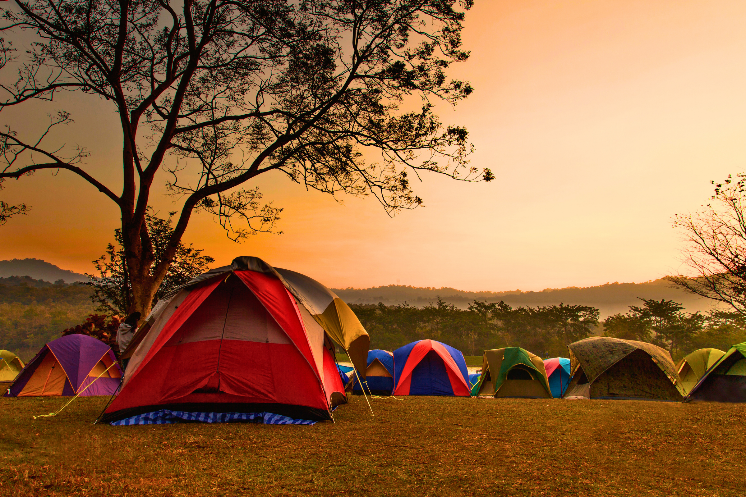 shira 1 camp (4).webp